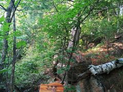 -汤旺河林海奇石景区