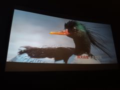 -万达影城(大明宫万达广场IMAX店)