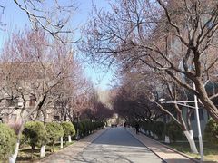 -山东师范大学(千佛山校区)