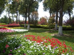 -上海鲜花港