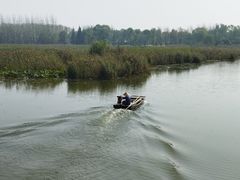-微山湖红荷湿地景区