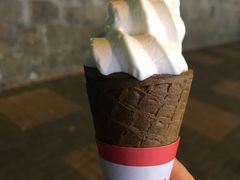 -富豪雪糕车流动点(尖沙咀店)