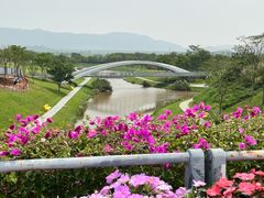 -光明小镇欢乐田园