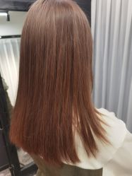 -藤野造型