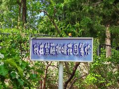 -太阳宫公园
