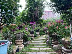 -园林美食城·本土农家菜(杨和镇店)