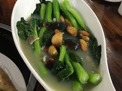 -石岐乳鸽村(桥观坊南四巷店)