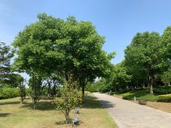 -九里河湿地公园