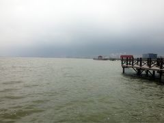 -碧海金沙