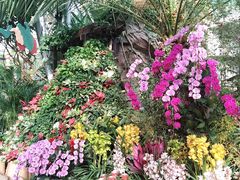 -北京植物园-展览温室