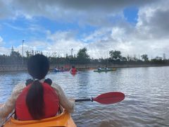 -上海长兴岛郊野公园