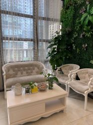 -苗医生草本科技祛痘