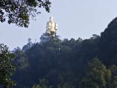 -大金鹰园