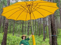 -莫尔道嘎国家森林公园