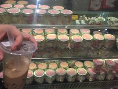 -猫咪博物馆(顶澳仔猫街店)