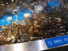 -盒马鲜生(杭州运河上街店)