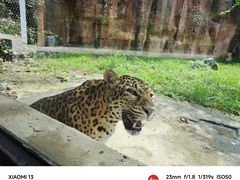 -杭州野生动物世界