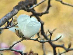 -烈士陵园(地铁站)