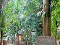 -龙达温泉生态城