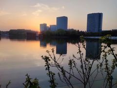-大宁公园