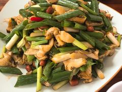-鸿运美食府