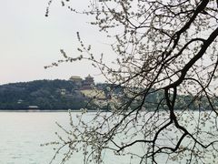 -颐和园