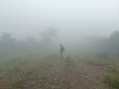 -大觉寺-停车场