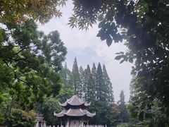 -习家池