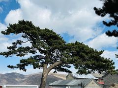 -妙峰山风景名胜区