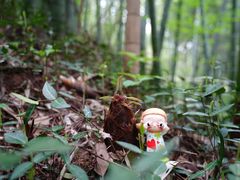 -南山风景名胜区