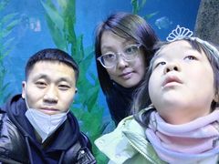 -哈尔滨波塞冬海底世界