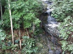 -洪霞餐馆
