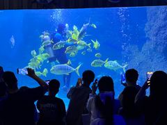-左海海底世界