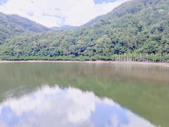 -广州市石门国家森林公园