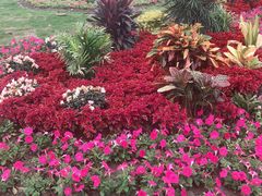 -渔娘蟹庄(阳澄湖莲花岛店)