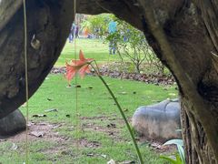-中国科学院西双版纳热带植物园