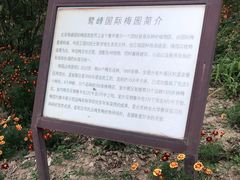 -北京鹫峰国家森林公园