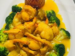 -月湖翠·上海菜(思南公馆淮海店)