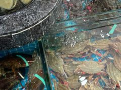 -渔码头食府(蓬莱阁店)