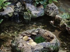 -赛格国际购物中心(小寨店)