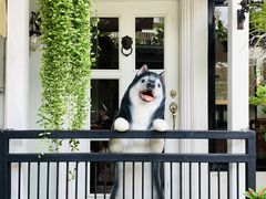 -TrueLove @ Neverland (Husky Cafe)