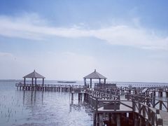 -哈素海