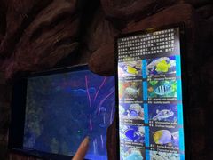 -烟台海昌鲸鲨海洋公园