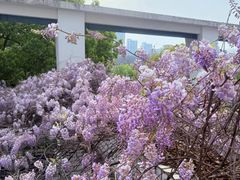 -浙江大学(紫金港校区)