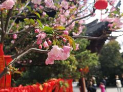 -上海市龙华烈士陵园