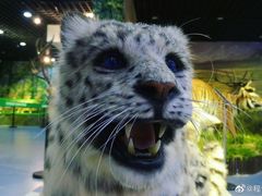 -北京麋鹿生态实验中心