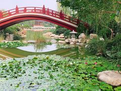 -西安华清御汤酒店