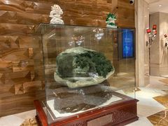 -西安赛瑞喜来登大酒店