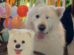 -J Create城市露营咖啡·简餐·宠物(上海动物园店)