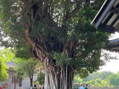 -东莞市可园博物馆